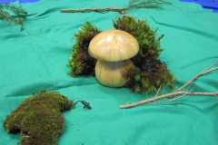 STSW_037